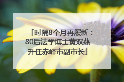 时隔8个月再履新：80后法学博士黄双燕升任赤峰市副市长