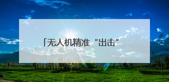 无人机精准“出击” 成功处置闯入厂区野猪
