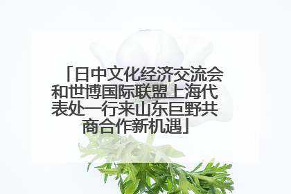 日中文化经济交流会和世博国际联盟上海代表处一行来山东巨野共商合作新机遇