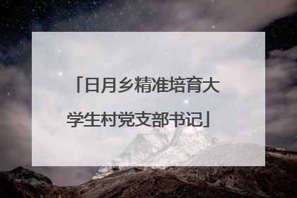 日月乡精准培育大学生村党支部书记