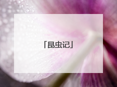 昆虫记