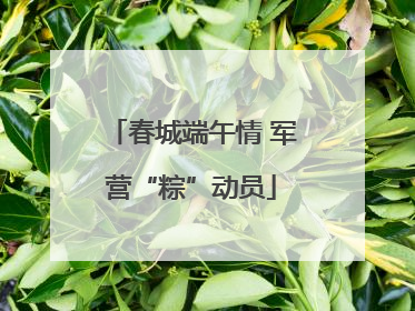 春城端午情 军营“粽”动员