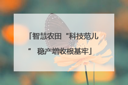 智慧农田“科技范儿” 稳产增收根基牢
