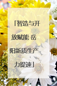 智造与开放赋能 岳阳新质生产力提速