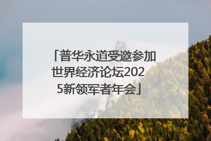 普华永道受邀参加世界经济论坛2025新领军者年会