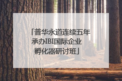 普华永道连续五年承办IBI国际企业孵化器研讨班