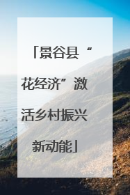 景谷县“花经济”激活乡村振兴新动能