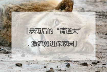 暴雨后的“清道夫”，激流勇进保家园