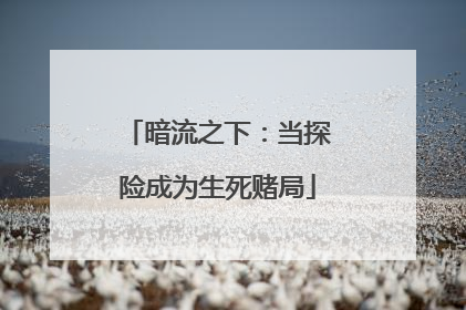 暗流之下：当探险成为生死赌局