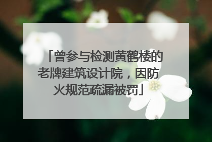 曾参与检测黄鹤楼的老牌建筑设计院，因防火规范疏漏被罚