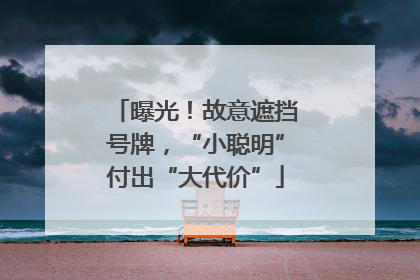曝光！故意遮挡号牌，“小聪明”付出“大代价”