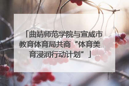 曲靖师范学院与宣威市教育体育局共商“体育美育浸润行动计划”