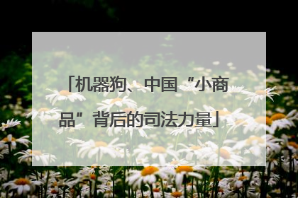 机器狗、中国“小商品”背后的司法力量