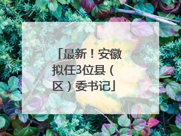 最新！安徽拟任3位县（区）委书记