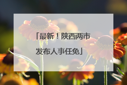 最新！陕西两市发布人事任免