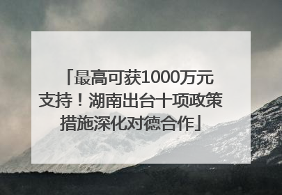 最高可获1000万元支持！湖南出台十项政策措施深化对德合作