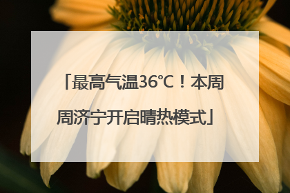最高气温36℃！本周周济宁开启晴热模式