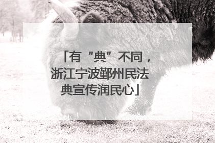 有“典”不同，浙江宁波鄞州民法典宣传润民心