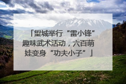望城举行“雷小锋”趣味武术活动，六百萌娃变身“功夫小子”