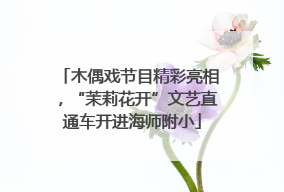 木偶戏节目精彩亮相，“茉莉花开”文艺直通车开进海师附小