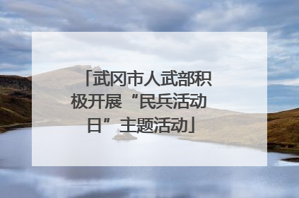 武冈市人武部积极开展“民兵活动日”主题活动
