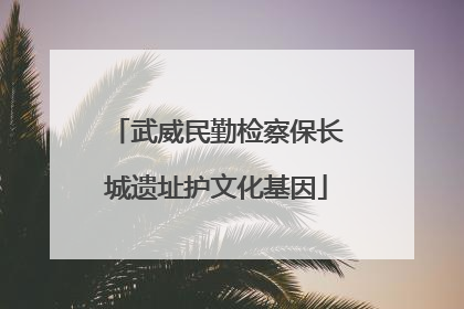 武威民勤检察保长城遗址护文化基因