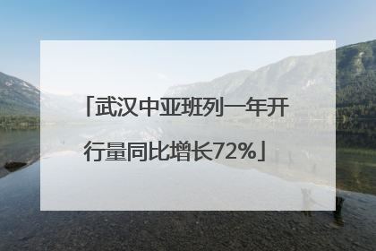 武汉中亚班列一年开行量同比增长72%