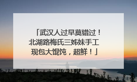 武汉人过早莫错过！北湖路梅氏三姊妹手工现包大馄饨，超鲜！