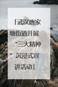 武汉唐家墩街道开展“三大精神”沉浸式宣讲活动