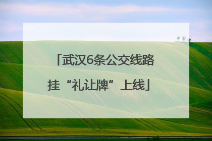 武汉6条公交线路挂“礼让牌”上线