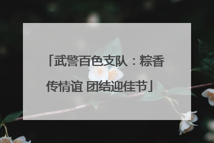 武警百色支队：粽香传情谊 团结迎佳节