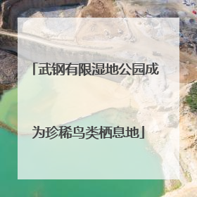 武钢有限湿地公园成为珍稀鸟类栖息地