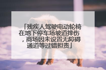 残疾人驾驶电动轮椅在地下停车场坡道摔伤，商场因未设置无障碍通道等过错担责