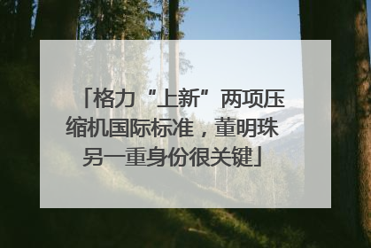 格力“上新”两项压缩机国际标准，董明珠另一重身份很关键
