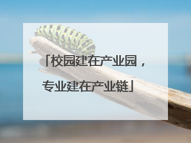 校园建在产业园，专业建在产业链