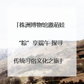 株洲博物馆邀萌娃“粽”享端午 探寻传统习俗文化之旅