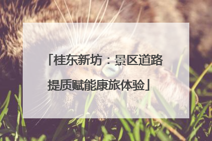 桂东新坊：景区道路提质赋能康旅体验