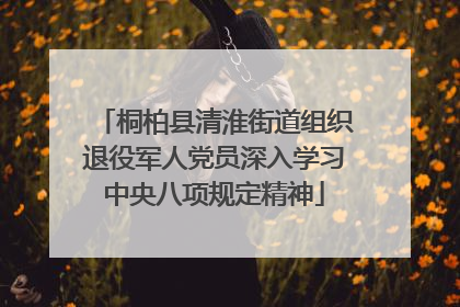 桐柏县清淮街道组织退役军人党员深入学习中央八项规定精神