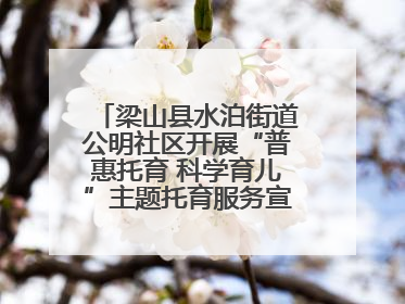 梁山县水泊街道公明社区开展“普惠托育 科学育儿”主题托育服务宣传活动