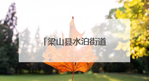 梁山县水泊街道德馨社区开展垃圾分类宣传活动