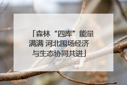 森林“四库”能量满满 河北围场经济与生态协同共进