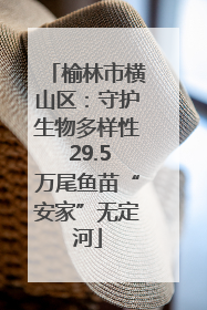 榆林市横山区：守护生物多样性 29.5万尾鱼苗“安家”无定河