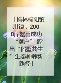 榆林榆阳镇川镇：2000斤蟹苗成功“落户” 蹚出“稻蟹共生”生态种养新路径