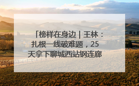 榜样在身边｜王林：扎根一线破难题，25天拿下聊城西站钢连廊“硬核”工程