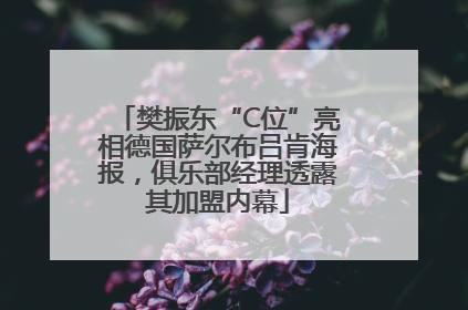樊振东“C位”亮相德国萨尔布吕肯海报，俱乐部经理透露其加盟内幕