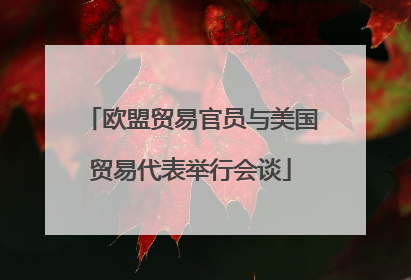 欧盟贸易官员与美国贸易代表举行会谈