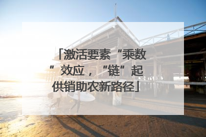 激活要素“乘数”效应，“链”起供销助农新路径