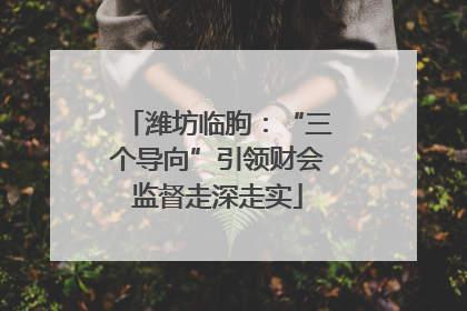 潍坊临朐：“三个导向”引领财会监督走深走实