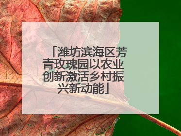 潍坊滨海区芳青玫瑰园以农业创新激活乡村振兴新动能