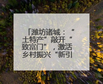 潍坊诸城：“土特产”敲开“致富门”，激活乡村振兴“新引擎”